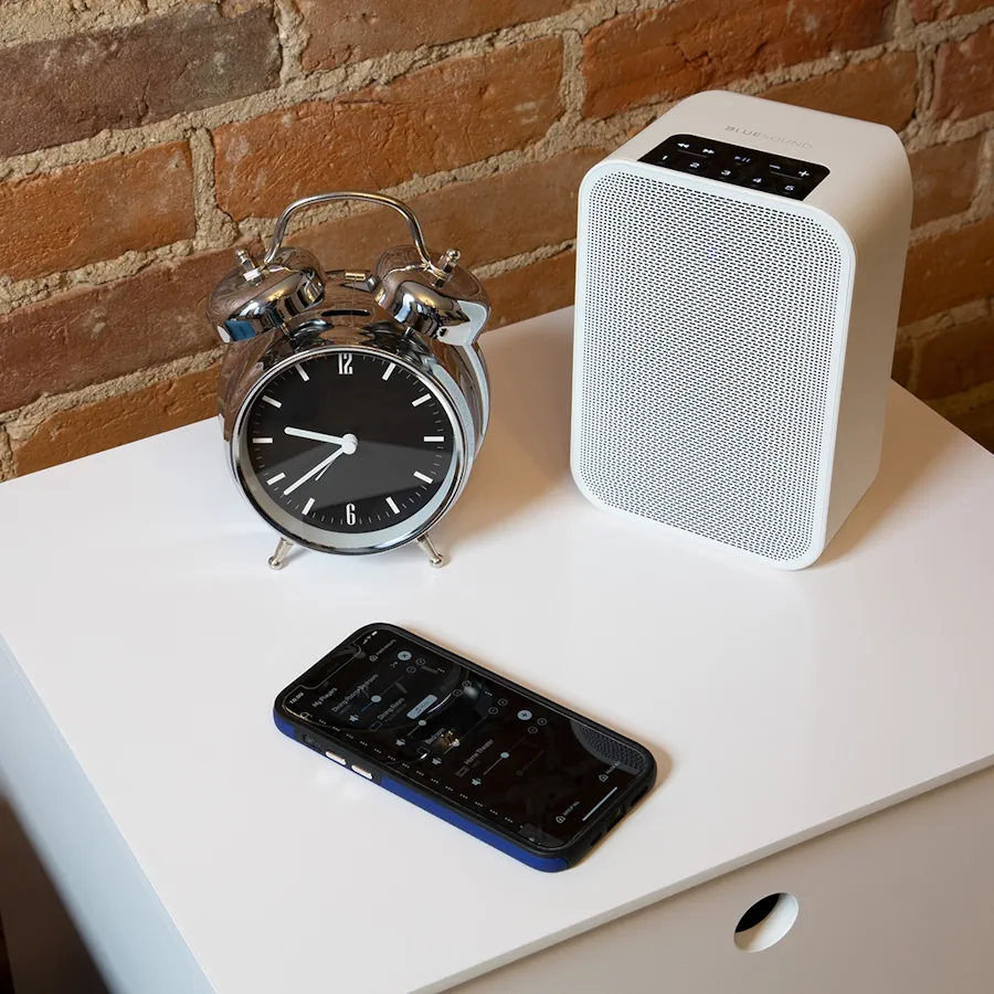 Bluesound Flex 2i lifestyle