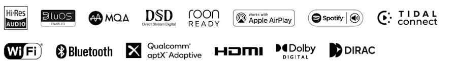 Bluesound Icon služby