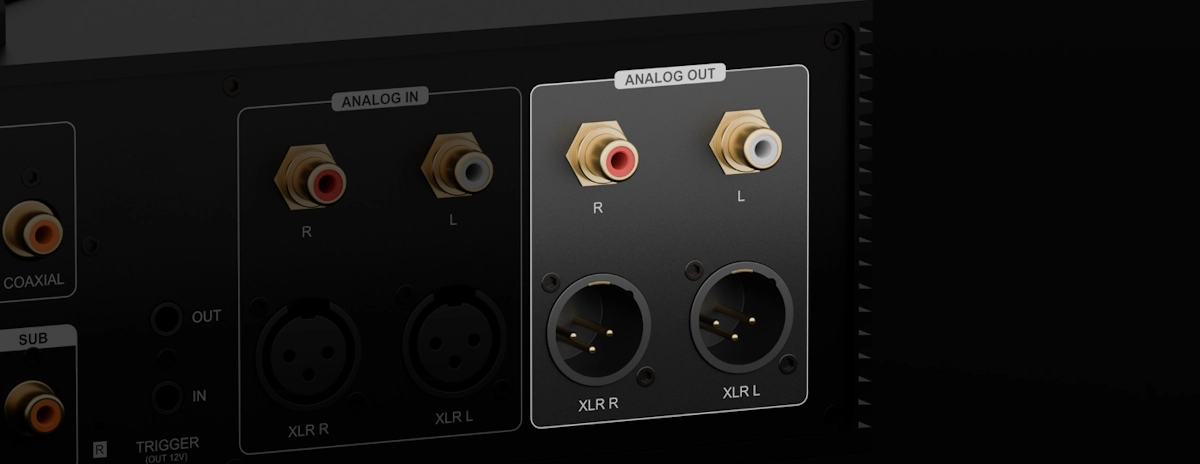 Eversolo DMP-A8 g2 detail