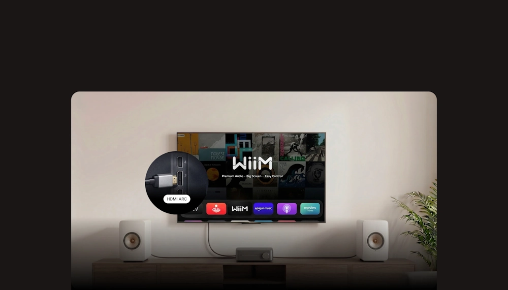 Wiim Amp Pro