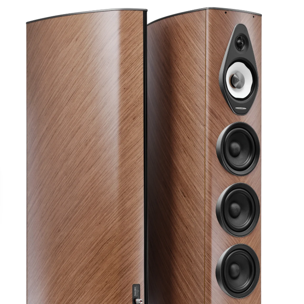 Sonus faber Olympica V (G3)