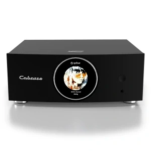 Cabasse AMP 240 S
