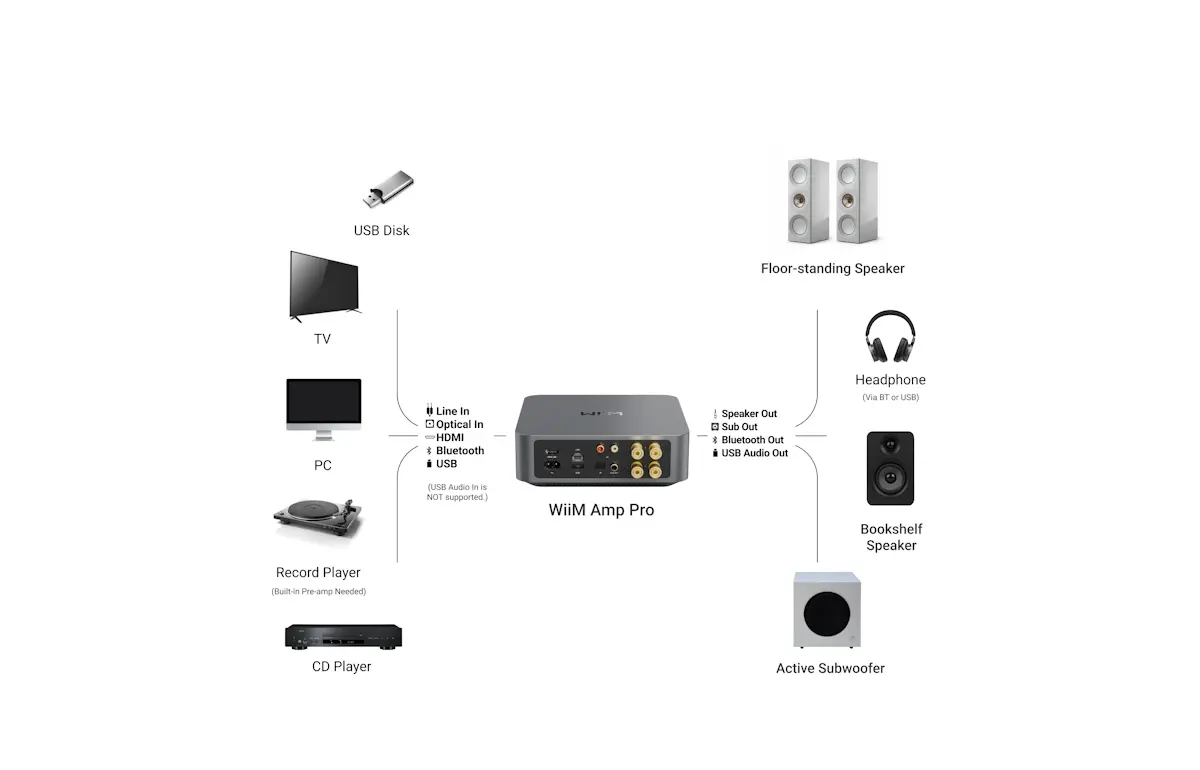 Wiim Amp PRO