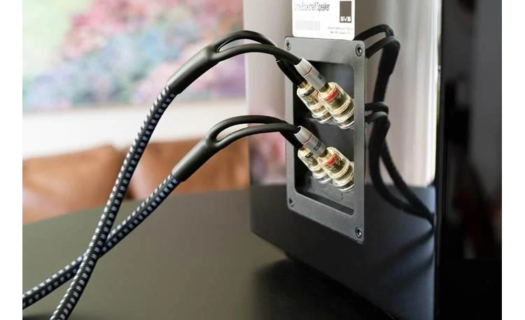 SVS SoundPath Ultra Bi-Wire Speaker Cable 3,05 m – Bananek/Bananek