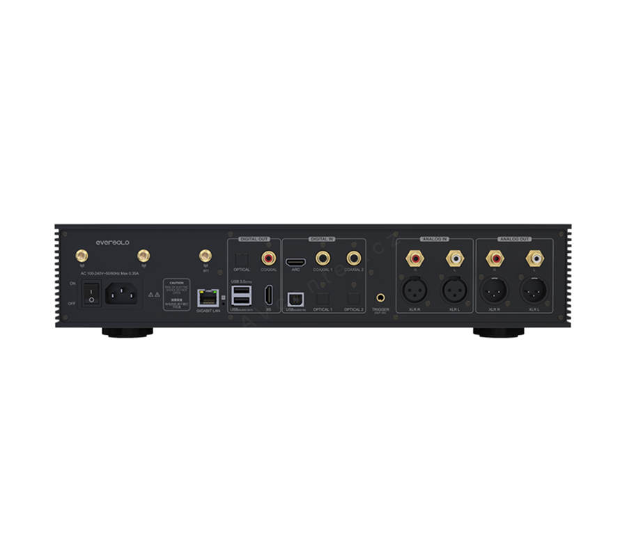 EverSolo DMP-A8