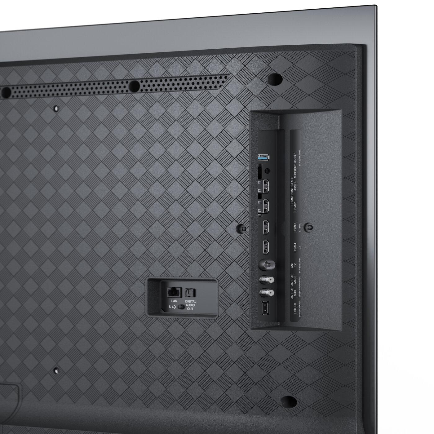 Loewe We. SEE 48" OLED dc