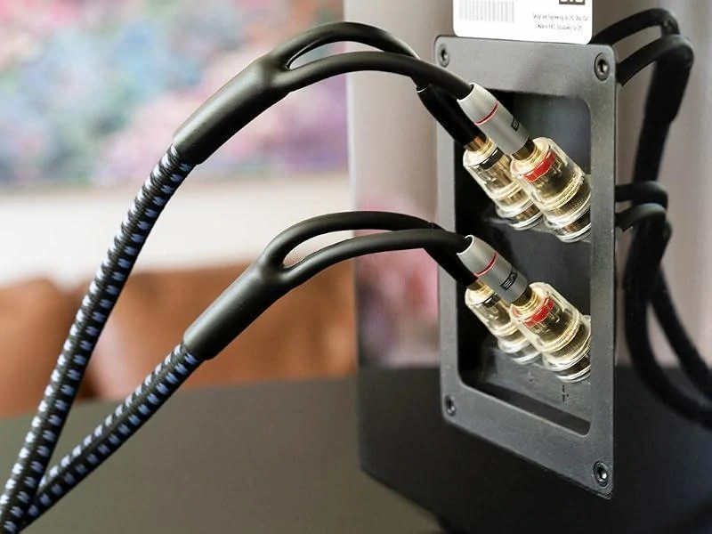 SVS SoundPath Ultra Bi-Wire Speaker Cable 3,05 m – Bananek/Bananek