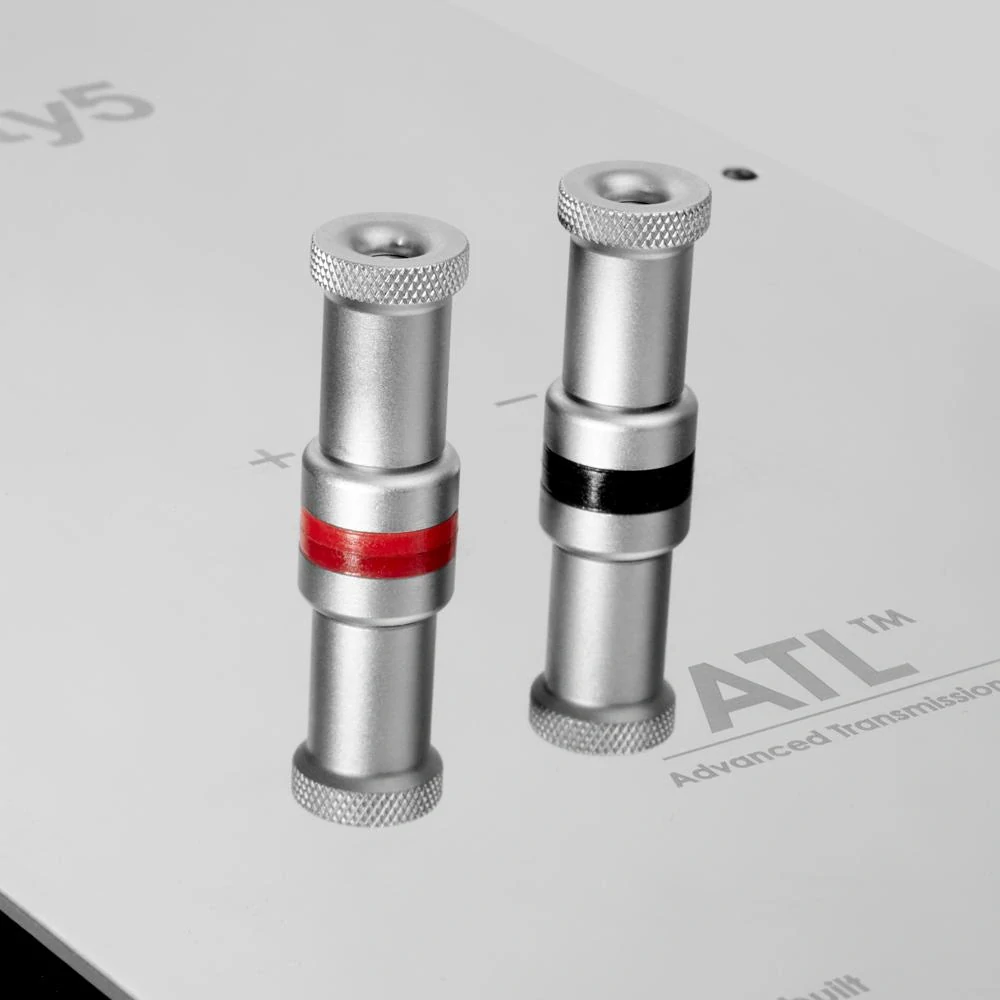 PMC twenty5 21 | ex-demo