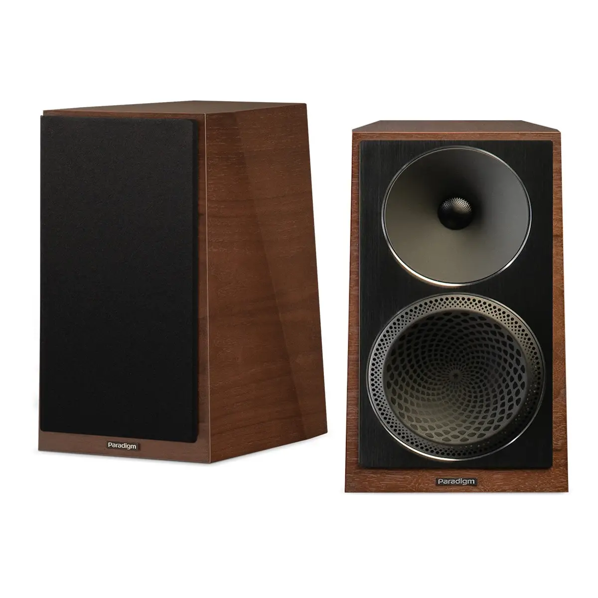 Paradigm Founder 40B