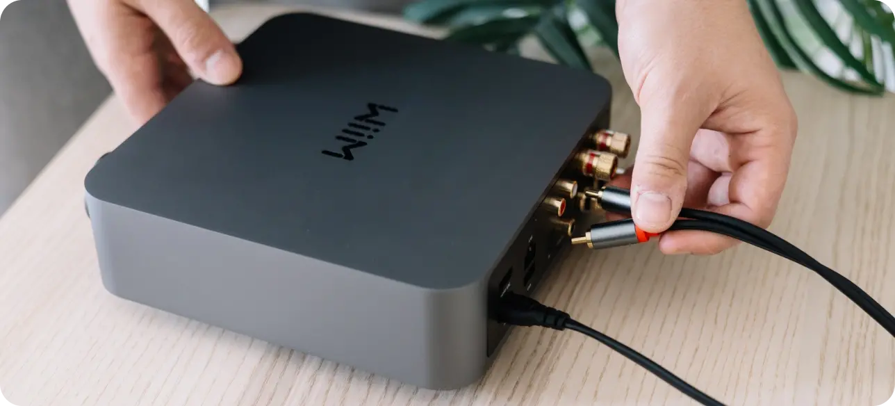 Wiim Amp PRO