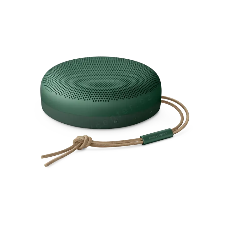 Bang & Olufsen Beosound A1 (2gen.)