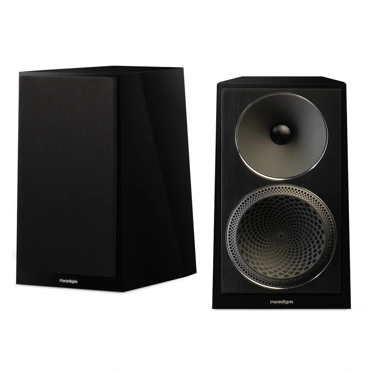 Paradigm Founder 40B