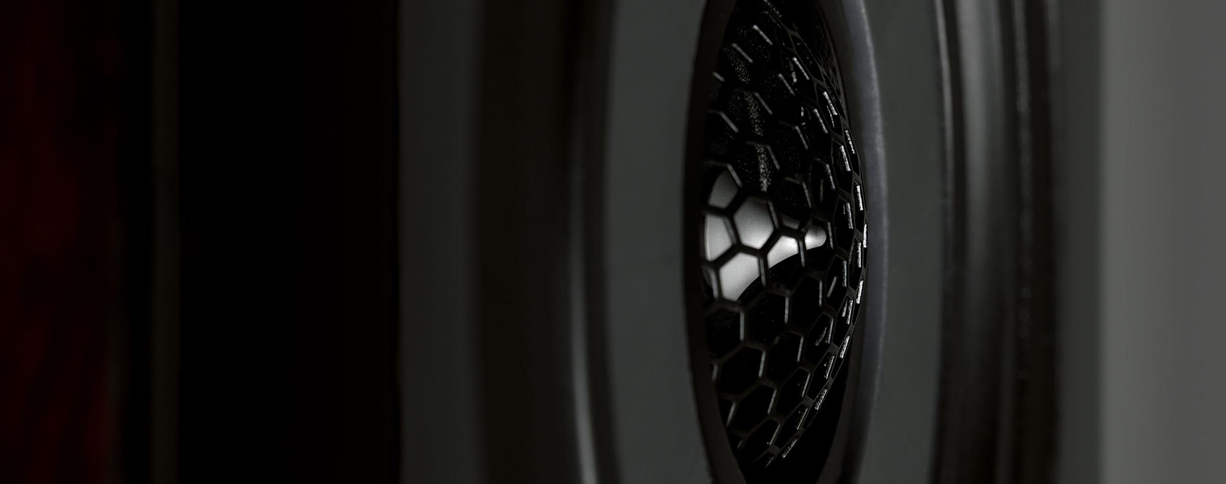 Vienna Acoustics Liszt Reference