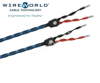 WireWorld Oasis 8 - 2x2,5m