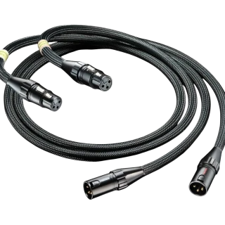 Furutech Evolution Audio II (XLR) - 1,2m