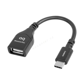 Audioquest DragonTail Carbon | USB-C