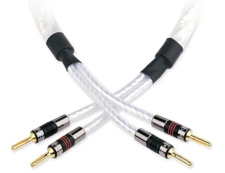 QED Genesis Speaker cable - 2x2m
