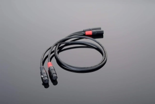 Transparent Hardwired XLR | 0,45m