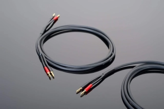 Transparent Hardwired Speaker Cable BB| 2x2,4m