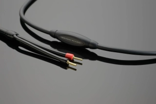 Transparent Audio MusicWave Speaker Cable | 2x2,4m